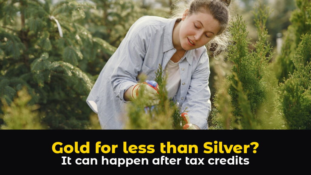 Young woman at work in an outdoor plant nursery tending small trees, above hook text: Gold for less than Silver? It can happen after tax credits.