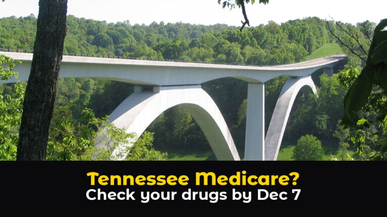 The Natchez Trace Parkway Bridge near Franklin, Tennessee, a white concrete bridge with two arches spanning a green wooded valley, seen through tree branches, above hook text: Tennessee Medicare? Check your drugs by Dec 7.