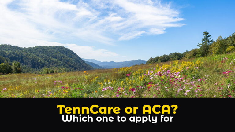 A wildflower meadow in the Great Smoky Mountains near Walland, Tennessee, with pink and white cosmos and yellow goldenrod in the foreground, green forested hills, and blue mountain ridges under a wispy blue sky, above hook text: TennCare or ACA? Which one to apply for.