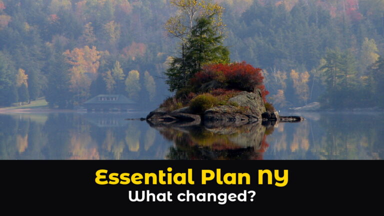 A small rocky island with dark evergreen trees and bright red autumn shrubs reflected in the still water of Lower Saranac Lake in the Adirondacks of New York, with a hillside of orange, gold, and green fall trees behind it, above hook text: Essential Plan NY. What changed?