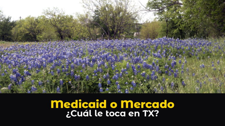 Un campo lleno de bluebonnets, la flor estatal de Texas, de color azul morado, con árboles verdes y un cielo claro al fondo cerca de Marble Falls, en el Hill Country de Texas, con el texto: Medicaid o Mercado. ¿Cuál le toca en TX?