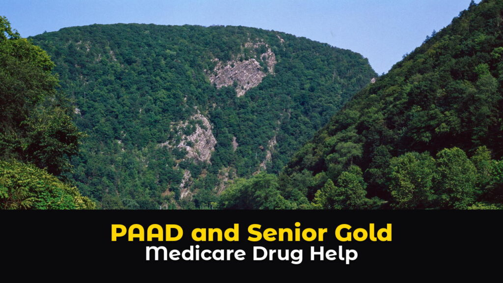 Mount Tammany and the forested ridges of the Delaware Water Gap on the New Jersey and Pennsylvania line, with thick green woods, a bare rock face, and a clear blue sky, above hook text: PAAD and Senior Gold. Medicare Drug Help.